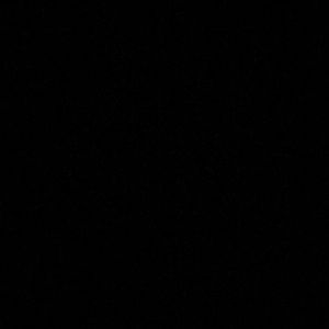 Meet your Posher, Mia